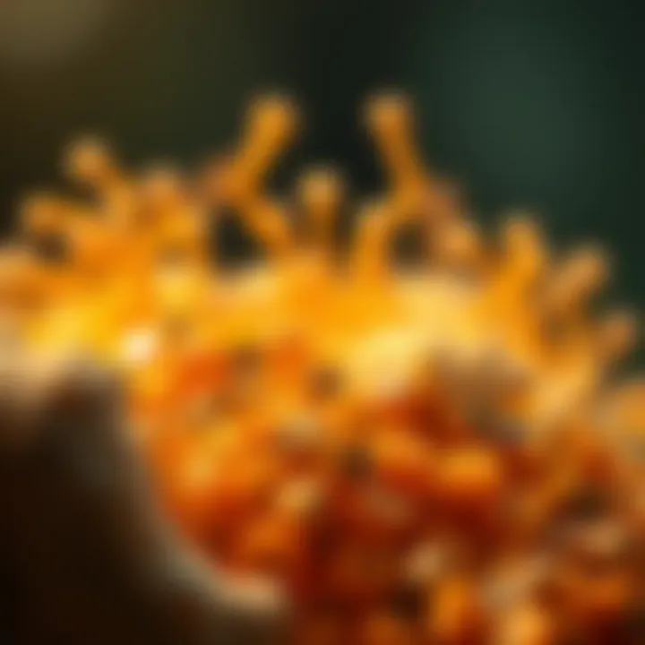 Magnificent Exploring Sources of Prebiotics: An In-Depth Analysis