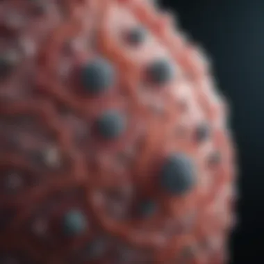 Magnificent Exploring the Curability of Stage 4 Non-Small Cell Lung Cancer