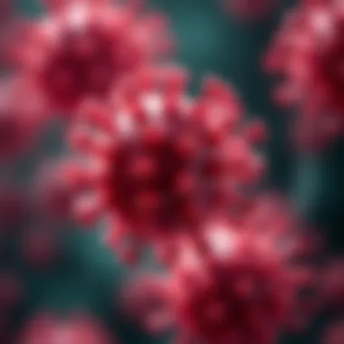Magnificent Exploring the Human Papillomavirus Linked to Warts Magnificent Exploring the Human Papillomavirus Linked to Warts