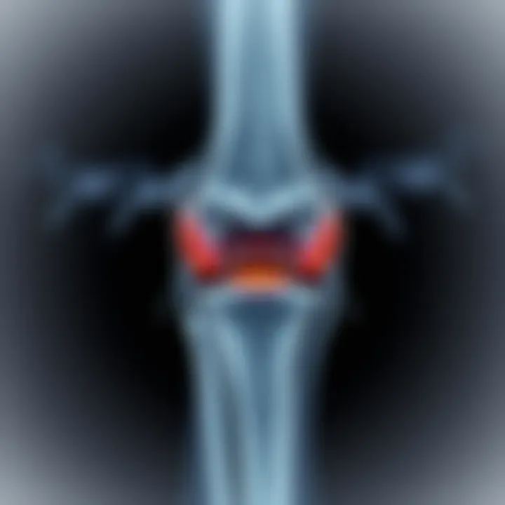 Magnificent Interpreting Knee MRI: A Detailed Guide