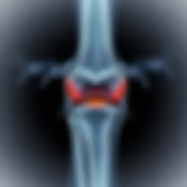 Magnificent Interpreting Knee MRI: A Detailed Guide Magnificent Interpreting Knee MRI: A Detailed Guide