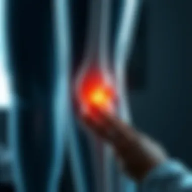Magnificent Natural Help for Osteoarthritis: A Comprehensive Exploration Magnificent Natural Help for Osteoarthritis: A Comprehensive Exploration
