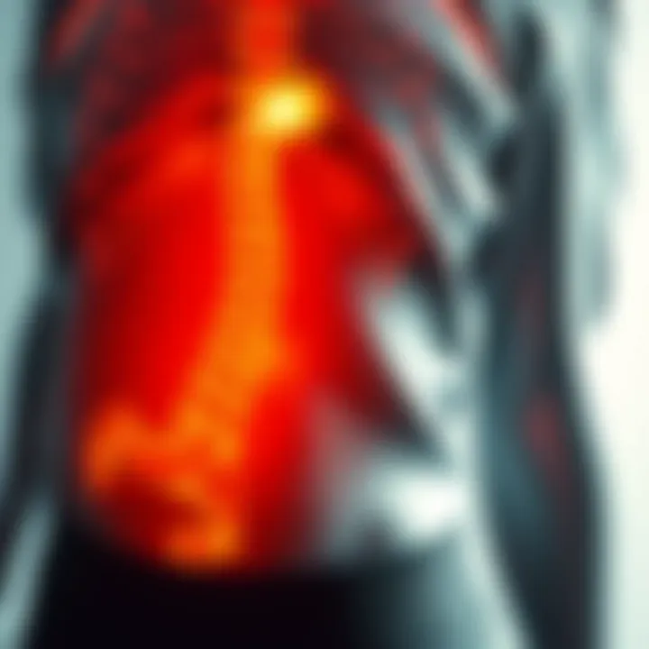 Magnificent Understanding Pain in the Lower Left Stomach Area