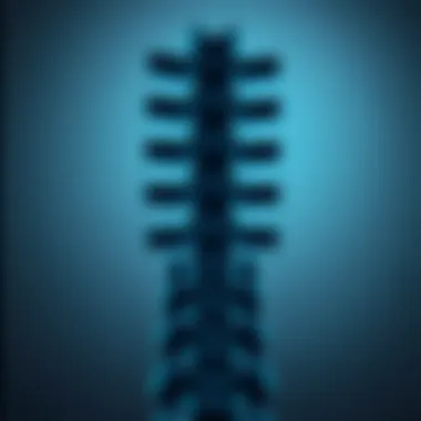 Magnificent Understanding Spondylosis of the Spine: A Comprehensive Overview