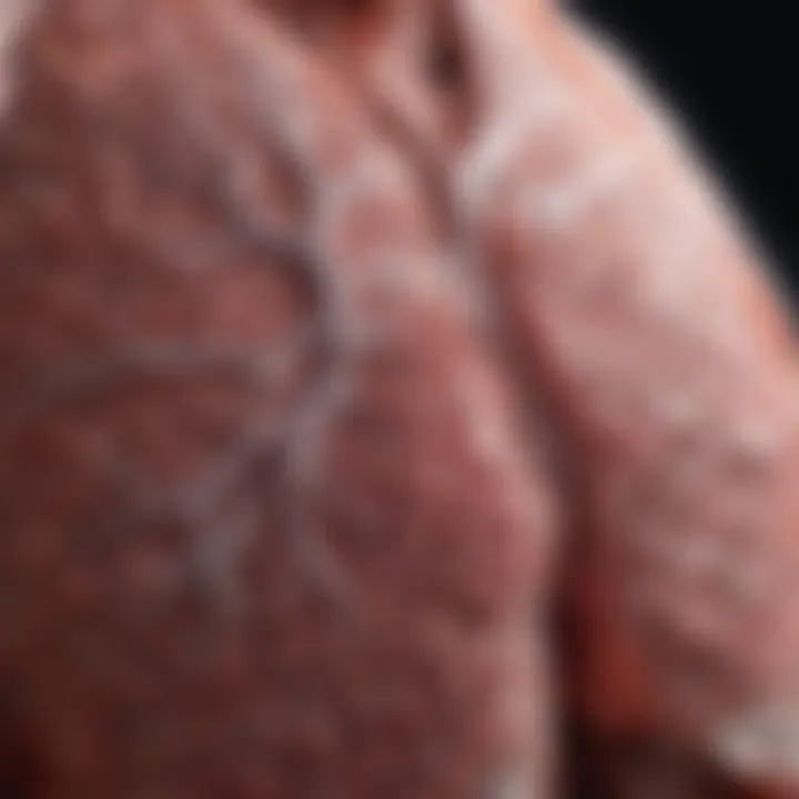 Magnificent Understanding Stage 4 Non-Small Cell Lung Cancer: Life Expectancy and Factors Influencing Outcomes