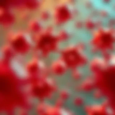 Magnificent Vitamin Influence on Hemoglobin Levels Magnificent Vitamin Influence on Hemoglobin Levels