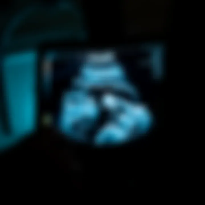 Notable A Comprehensive Examination of Womb Ultrasound