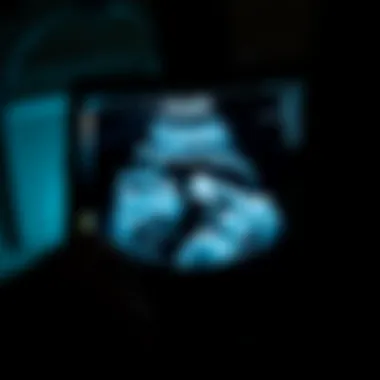 Notable A Comprehensive Examination of Womb Ultrasound Notable A Comprehensive Examination of Womb Ultrasound