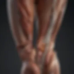 Illustration of leg muscles and cramps