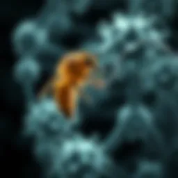 Diagram illustrating the immune response to bee venom