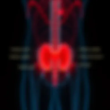 Recognizing Bladder Pain Symptoms Visual representation of common symptoms associated with bladder pain