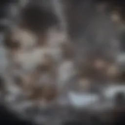 Visual representation of bone metastases in various malignancies