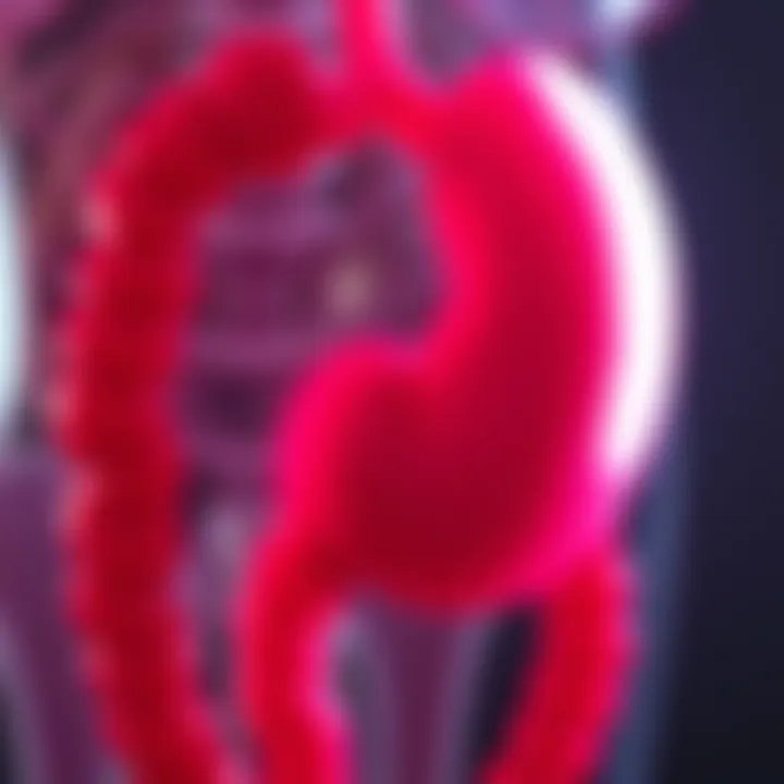 Colorectal Cancer Rates by Age: An In-Depth Analysis Summary