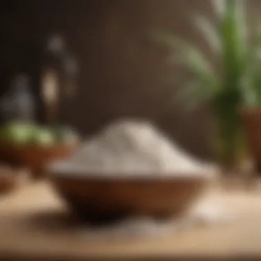 Tapioca starch flour displayed in a bowl with natural background