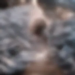 A detailed illustration of surgical procedures used in cancer treatment.