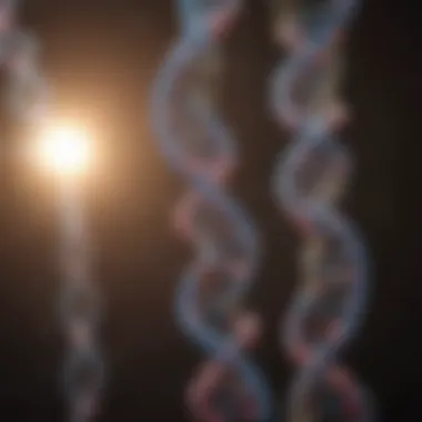 Genetic mapping illustrating chromosomal structures