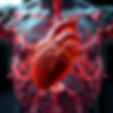 Visual representation of the relationship between digestion and cardiovascular health