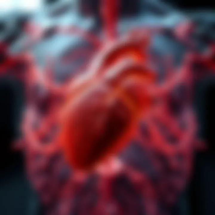 Visual representation of the relationship between digestion and cardiovascular health