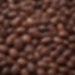 Cacao beans showcasing the rich source of flavonoids