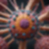 Detailed illustration of the HPV virus structure