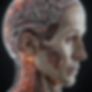 MRI scan highlighting brain structures