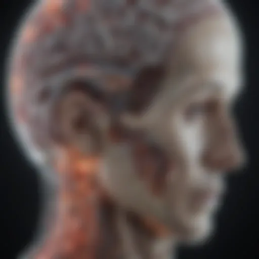 MRI scan highlighting brain structures