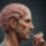 Brain illustration showcasing cognitive flexibility associated with bilingualism