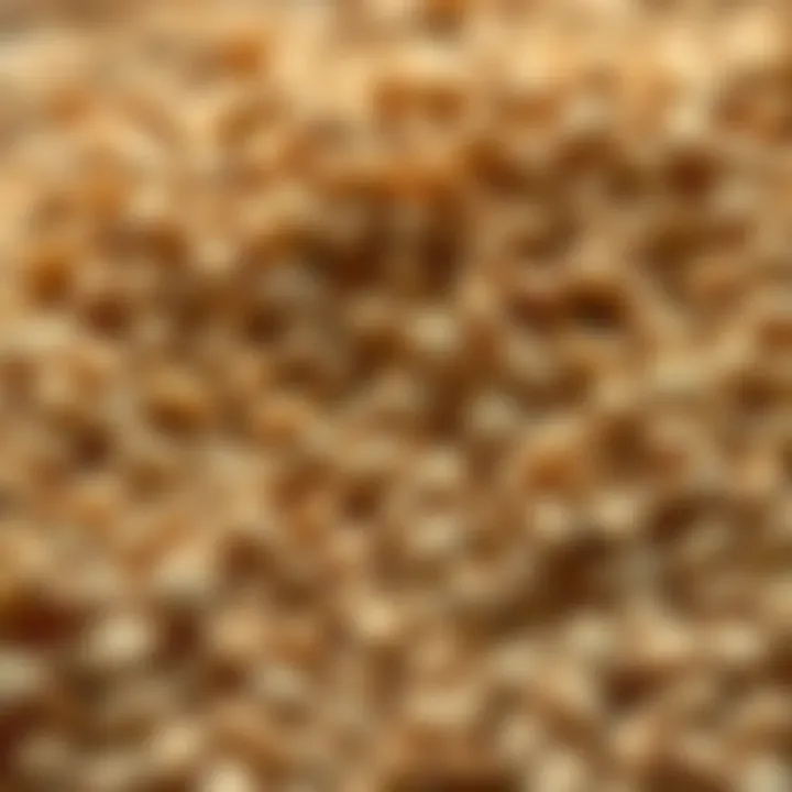 Horse Gram Seeds Texture Close-up of horse gram seeds showcasing their unique texture and shape.