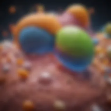 Metabolism Illustration Featuring Exogenous Ketones Illustration of metabolism with exogenous ketones