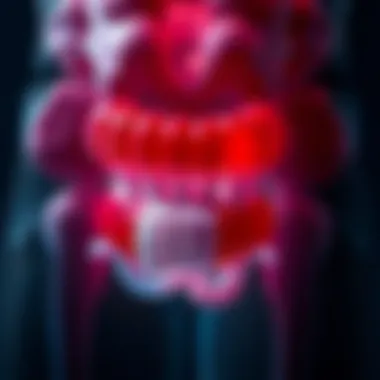 Visual representation of hemorrhoids and their effects