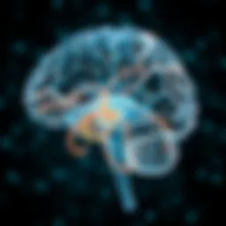 Illustration depicting the intricate pathways of sound processing in the brain