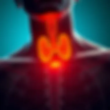 Illustration showing the thyroid gland's role in the human body