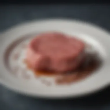 Innovative Lab-Grown Protein Product Innovative lab-grown meat product displayed on a plate