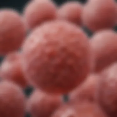 Morphological Characteristics of Streptococcus pneumoniae Morphological characteristics of Streptococcus pneumoniae highlighting its cocci shape.