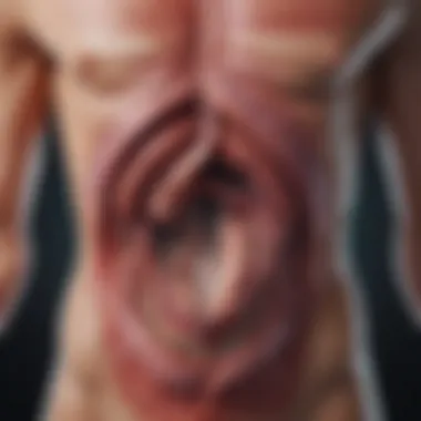 Impact on Organs in SLE Graphical representation of the impact of systemic lupus erythematosus on various organs.