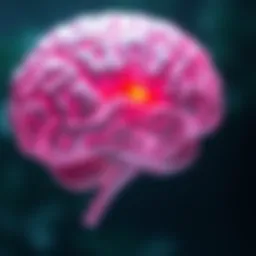 Illustration of the brain highlighting migraine areas