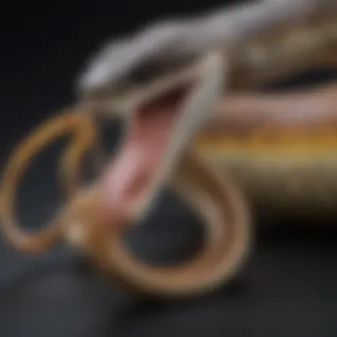 Emerging Trends in Antidote Research Infographic highlighting emerging trends in snake venom antidote research.