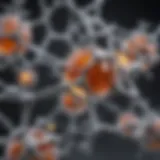 Detailed illustration of Aleve's chemical structure