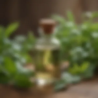 An elegant glass bottle of peppermint oil sitting on a wooden table, surrounded by herbs.