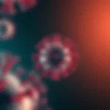 Exploring the Human Papillomavirus Linked to Warts Introduction