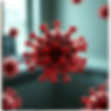Exploring the Human Papillomavirus Linked to Warts Summary Exploring the Human Papillomavirus Linked to Warts Summary