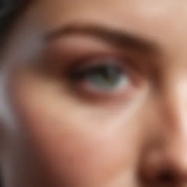 Key Active Ingredients in Eyelid Ointments Illustration of various active ingredients found in eyelid ointments