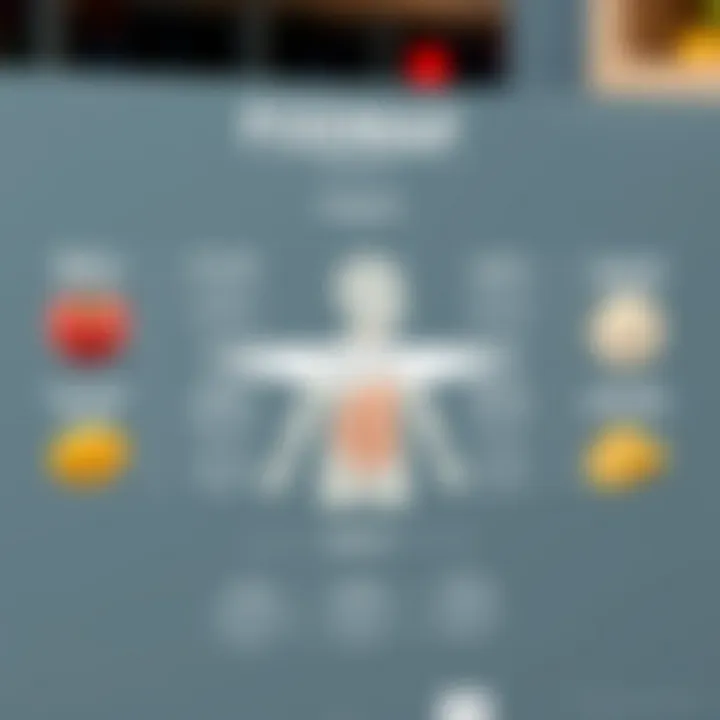 Understanding FODMAP Categories Visual representation of FODMAP categories and their effects on digestion.