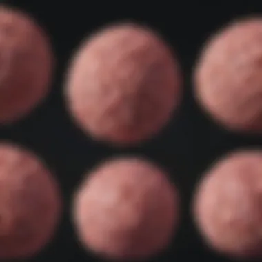 Evaluating Different Types of Cancers Types of cancers evaluated in the panel