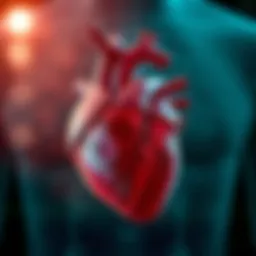 Medical illustration of heart bradycardia condition