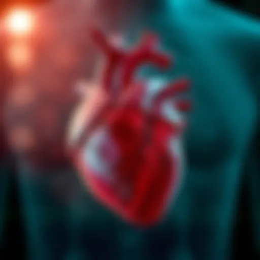 Medical illustration of heart bradycardia condition