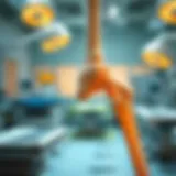 Comprehensive overview of orthopaedic theories