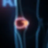 Interpreting Knee MRI: A Detailed Guide Introduction