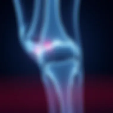 Interpreting Knee MRI: A Detailed Guide Summary Interpreting Knee MRI: A Detailed Guide Summary