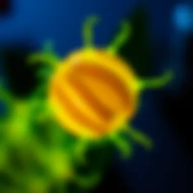 Ivis Bioluminescence Imaging: Techniques and Applications Summary Ivis Bioluminescence Imaging: Techniques and Applications Summary
